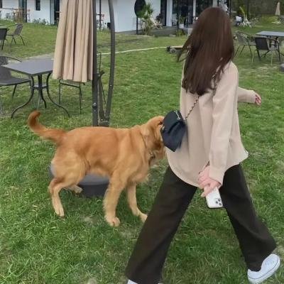恐怖大全