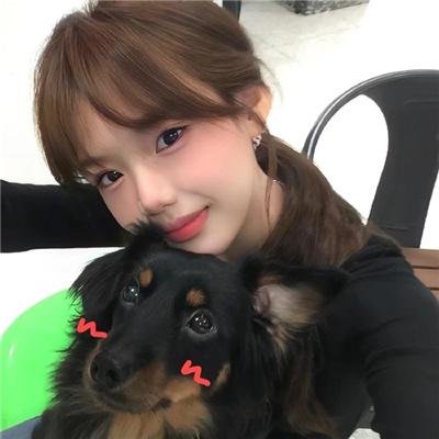 警犬嬷嬷历险记